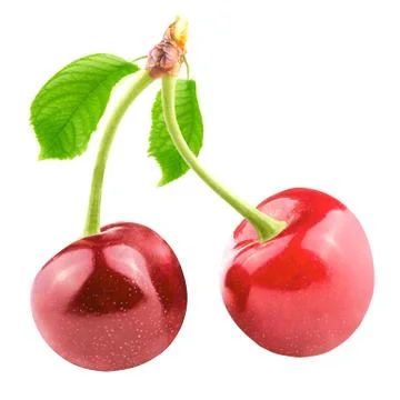Two sweet cherries with leaf isolated on white Stock Photos