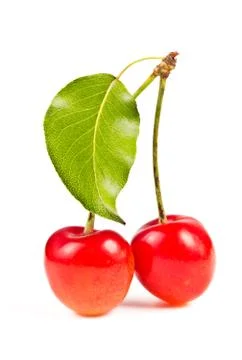 Two sweet cherry Stock Photos