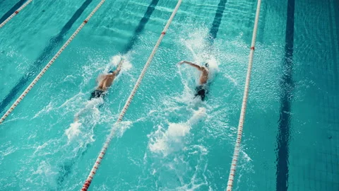 Two Swimmers Compete in Swimming Pool Stock Footage 156557017