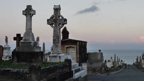 Two Sydney boys wander through Waverley cemetery slow motion 4K Stock Footage 274245401