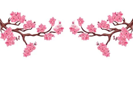 Two symmetrical branches with pink cherry blossoms. Sakura. Isolated on whi.. Stock Illustration