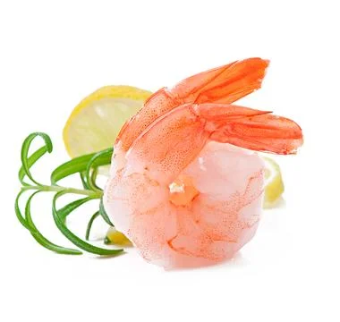 Two tail of shrimp with fresh lemon and rosemary on the white Stock Photos