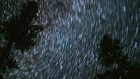 Two Tall Pine Trees and Milky Way Abstract Star Trails Night Time Lapse Stock Footage 81890364