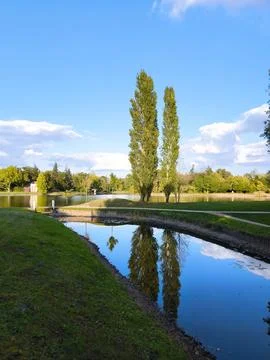 Two tall poplars reflected in a narrow park canal at sunset in autumn Stock Photos