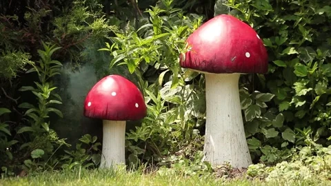 Two tall red and white mushroom statues, one taller than the other, on grass Stock Footage 247141928