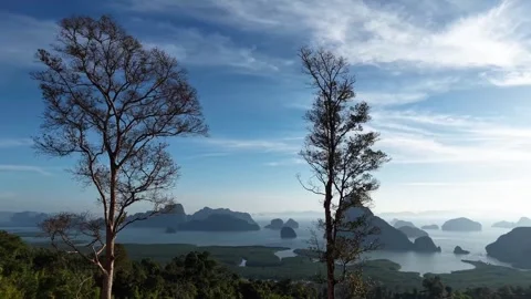 Two Tall Silhouetted Trees Overlooking the Iconic Limestone Formations of Phang Видео 331198970