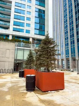 Two tall trees are placed in red planters next to glass buildings. The ground Stock Photos