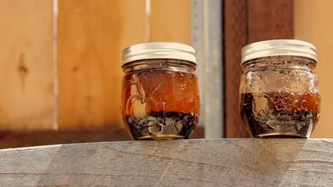 Two tea essential oil jars outside in sun Stock Footage 76331076