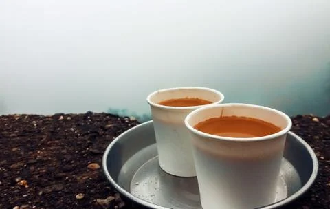 Two tea served in white paper cups kept in steel tray. 写真素材