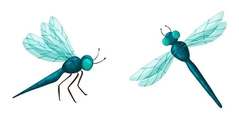 Two Teal Blue Dragonflies Set Illustration Clipart Иллюстрация