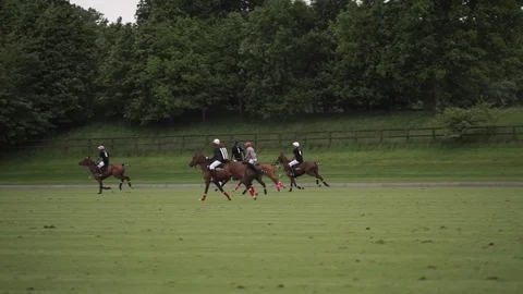 Two teams play together in Polo Stock Footage 71454934