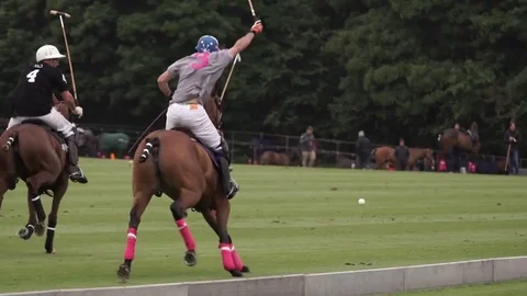 Two teams play together in Polo Video stock 71454959