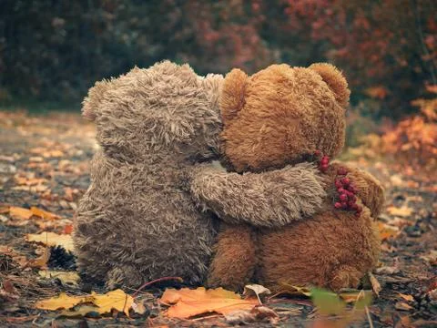 Two Teddy bear hugging each other and looking at the autumn forest Stock Photos