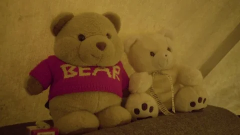 Two teddy bear kept in the tent Stock Footage 77452875