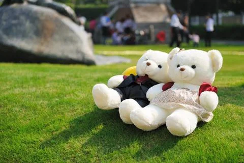 Two teddy bears Stock Photos