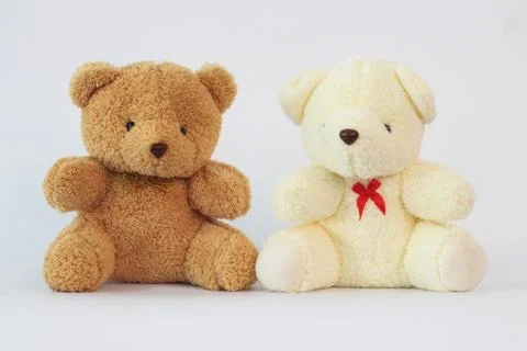 Two teddy bears on a white background. Stock Photos