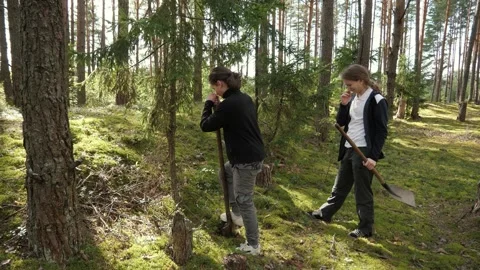 Two teenagers are digging in a pine forest 스톡 동영상 338169116