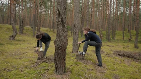 Two teens cutting small conifer trunks by hand Stock Footage 339504602