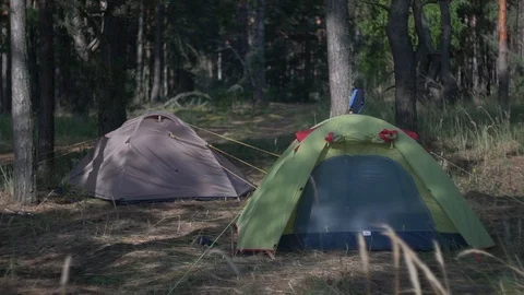 Two tents stand in the forest between the trees. tourist campground. Stock Footage 113275175