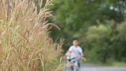 Two Thai boy bicycle Stock Footage 72485253