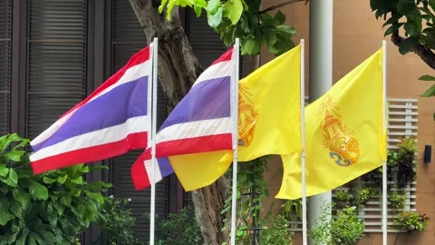 Two Thai national flags and yellow royal flags waving in the wind in front of a Stock Footage 314353875