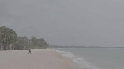 The two of them strolled along the beach. Stock Footage 344093897