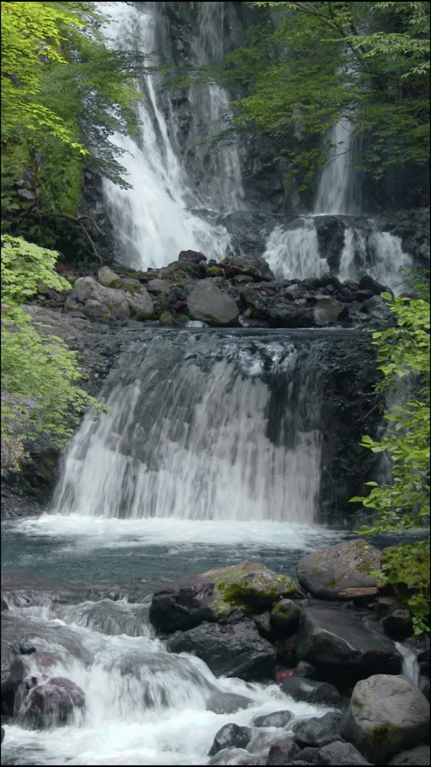 Two Tier Waterfall Above Rocky Plunge Pool Vertical Video Vidéo 346192673