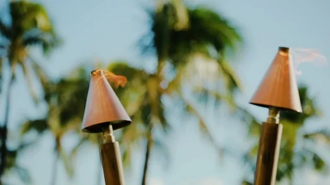 Two tiki lantern torch with fire among tropical nature on the beach of resort Stock Footage 101120185