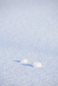 Two tiny snow balls on pristine snow surface at Winter, Finland 스톡 사진