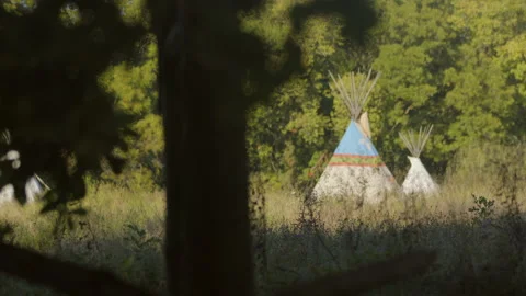 Two tipis in a field beyond a fence and tree Stock Footage 161187245