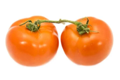 Two tomato with green stem on white background Stock-Fotos