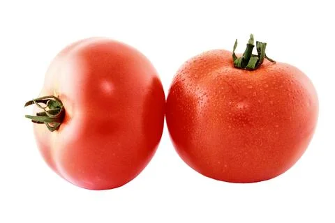 Two tomato  isolated on white background cutout Stock Photos