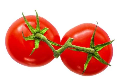 Two tomatoes on a branch Stock Photos
