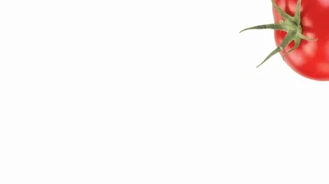 Two tomatoes Stock Footage 8574418