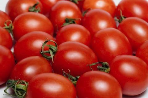 Two tomatoes, isolated on white background Stock Photos
