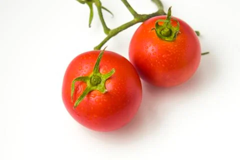 Two tomatoes with leaf isolated on white background. While tomatoes are botan Stock Photos