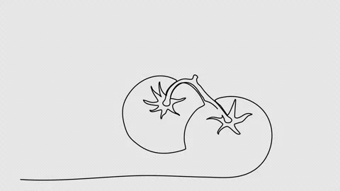 Two tomatoes. One line drawing animation with alpha channel. Stock Footage 308070137