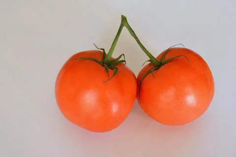 Two tomatoes Stock Photos
