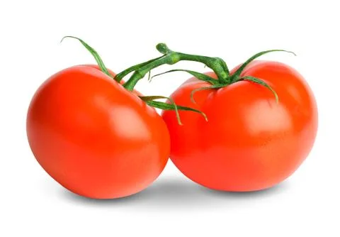 Two tomatoes Stock Photos