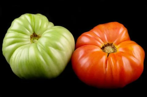 Two tomatoes Stock Photos