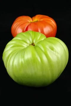 Two tomatoes Stock Photos