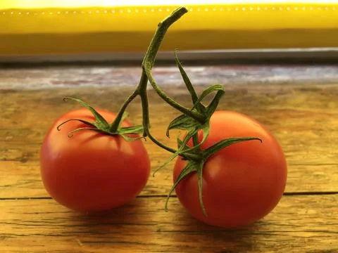 Two tomatoes Stock Photos