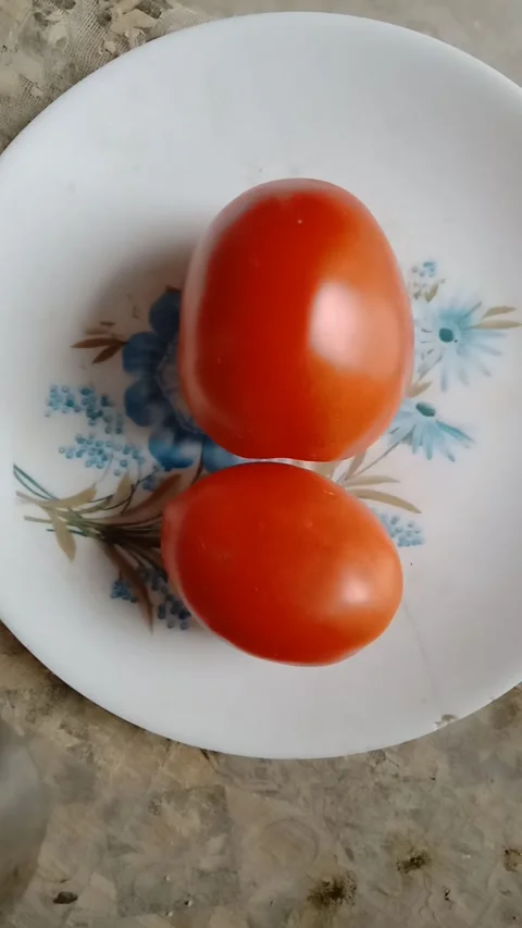 Two tomatoes on plate Stock Footage 323578720