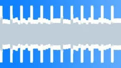Two-tone alarm siren loop 0001 Sound Effect