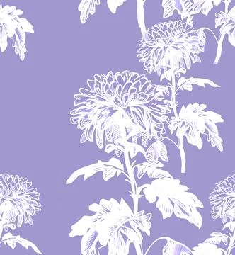 Two-toned seamless pattern with chrysanthemum flowers and leaves. Stock Illustration