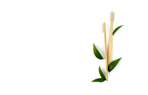 Two toothbrushes made of eco material with green leaves on a white background Stock Photos