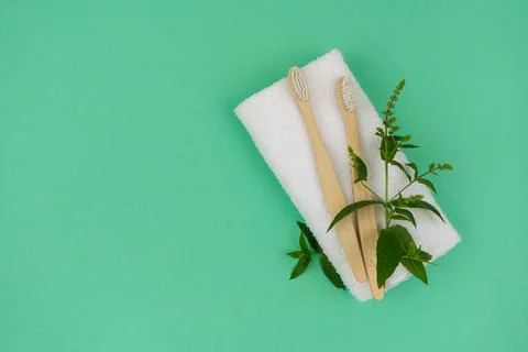 Two toothbrushes made of eco material with a green mint sprig Stock Photos