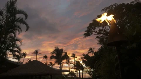 Two Torches Burning in Front of Palm Trees at Sunset Stock Footage 238067491