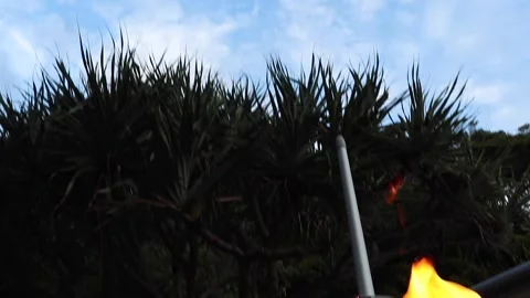 Two torches outside infront of a restaurant on Hastings street with Palm Stock Footage 146150116