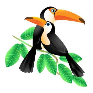 Two Toucans Sitting on a Branch Illustrazione stock